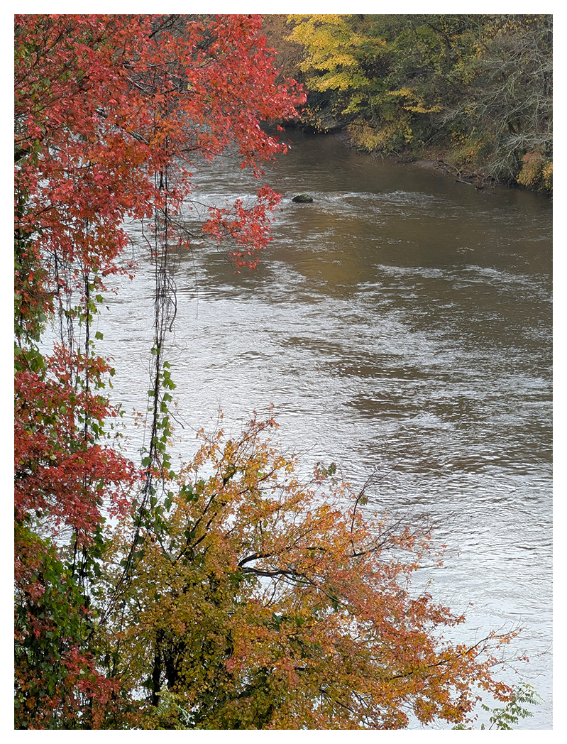 high-angle view of a narrow river flowing through a wooded area with autumn foliage. Trees with vibrant red, orange, and yellow leaves frame the river’s edge, while the water appears calm and reflective.