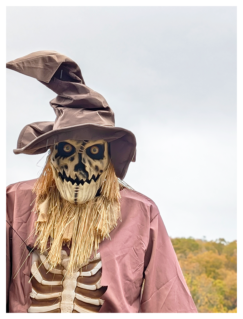 a human-like effigy in a tattered brown witch hat and cloak wears a scary skull mask with vivid yellow eyes and straw hair, resembling a skeleton scarecrow. Autumn trees and a cloudy sky are visible in the background.