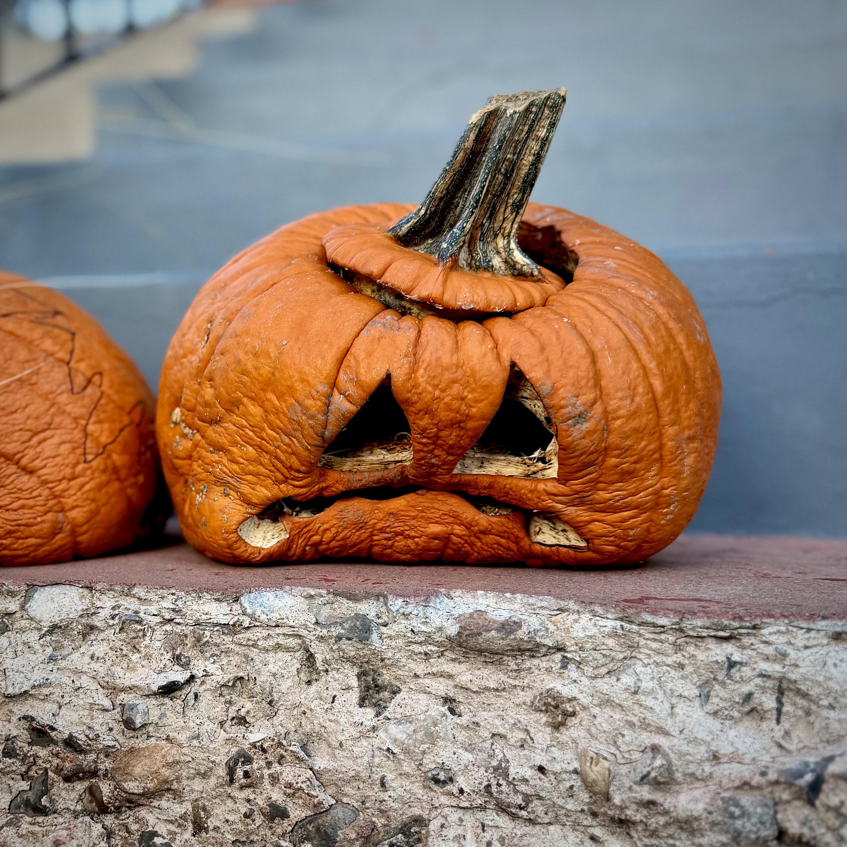 Jack-o-lantern on the steps to a porch. It's almost two weeks after Halloween, so it is in a state of decomposition where it has squished down resulting in a sad face.