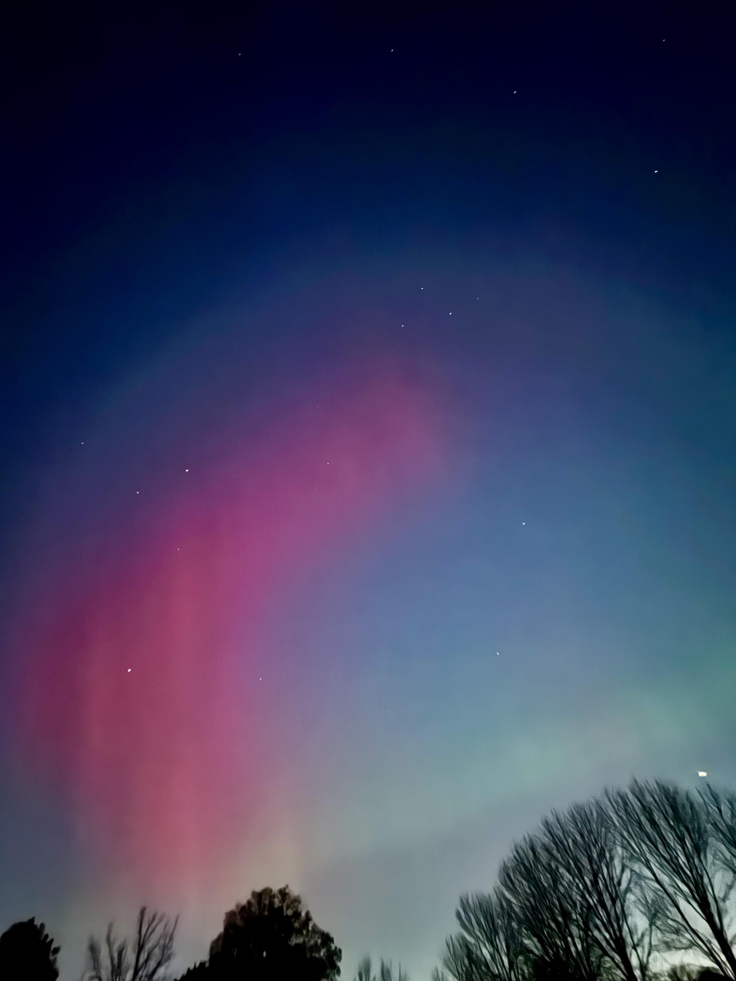 A curve of red aurora in a night sky with light pollution, silhouettes of trees are along the bottom of the frame