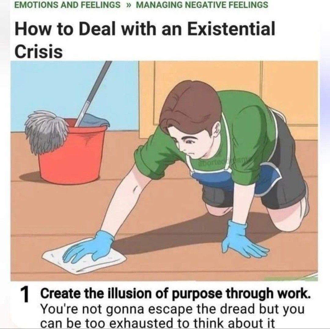 EMOTIONS AND FEELINGS » MANAGING NEGATIVE FEELINGS
How to Deal with an Existential Crisis

1
Create the illusion of purpose through work.
You're not gonna escape the dread but you can be too exhausted to think about it