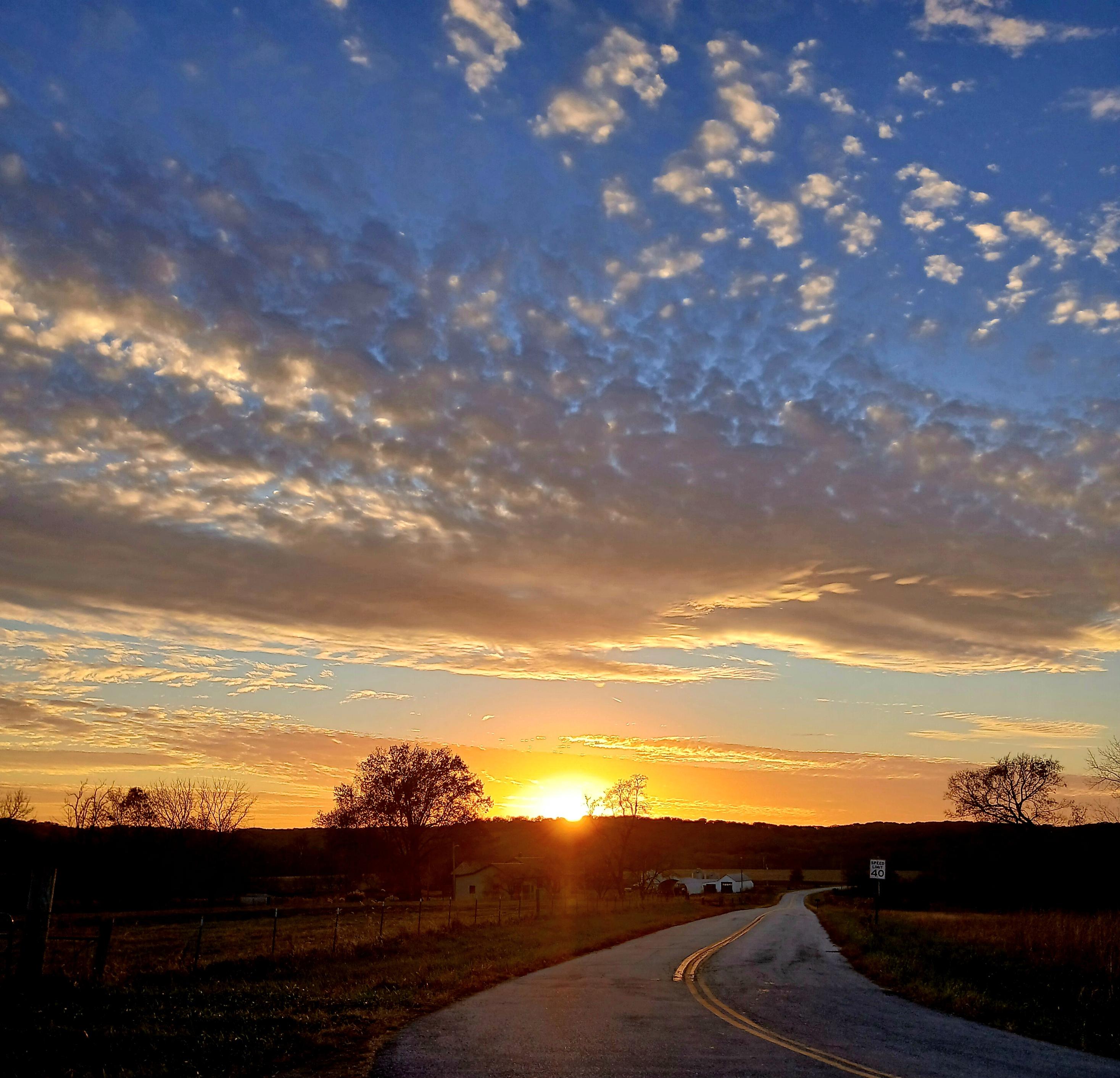 I was driving home and pulled over on the side of this pretty lonely old highway. The sun was setting with just these little whispy clouds, and they were lit up like golden lanterns, with the bare tree branches silhouetted like lace in the background.