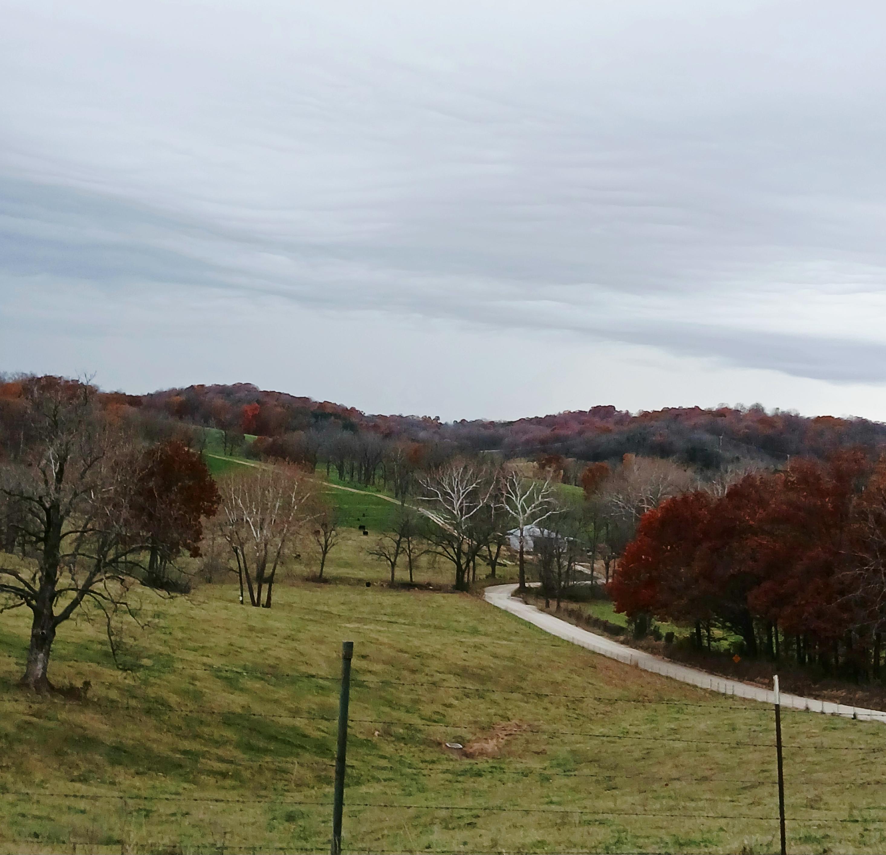 A little valley I found on a gravel road, you can see the road twist through it, like a river, the grass is still mostly green, but the trees are auburn and orange, while bare sycamore stand out with their white upper branches. It beckons you to follow the road in further.