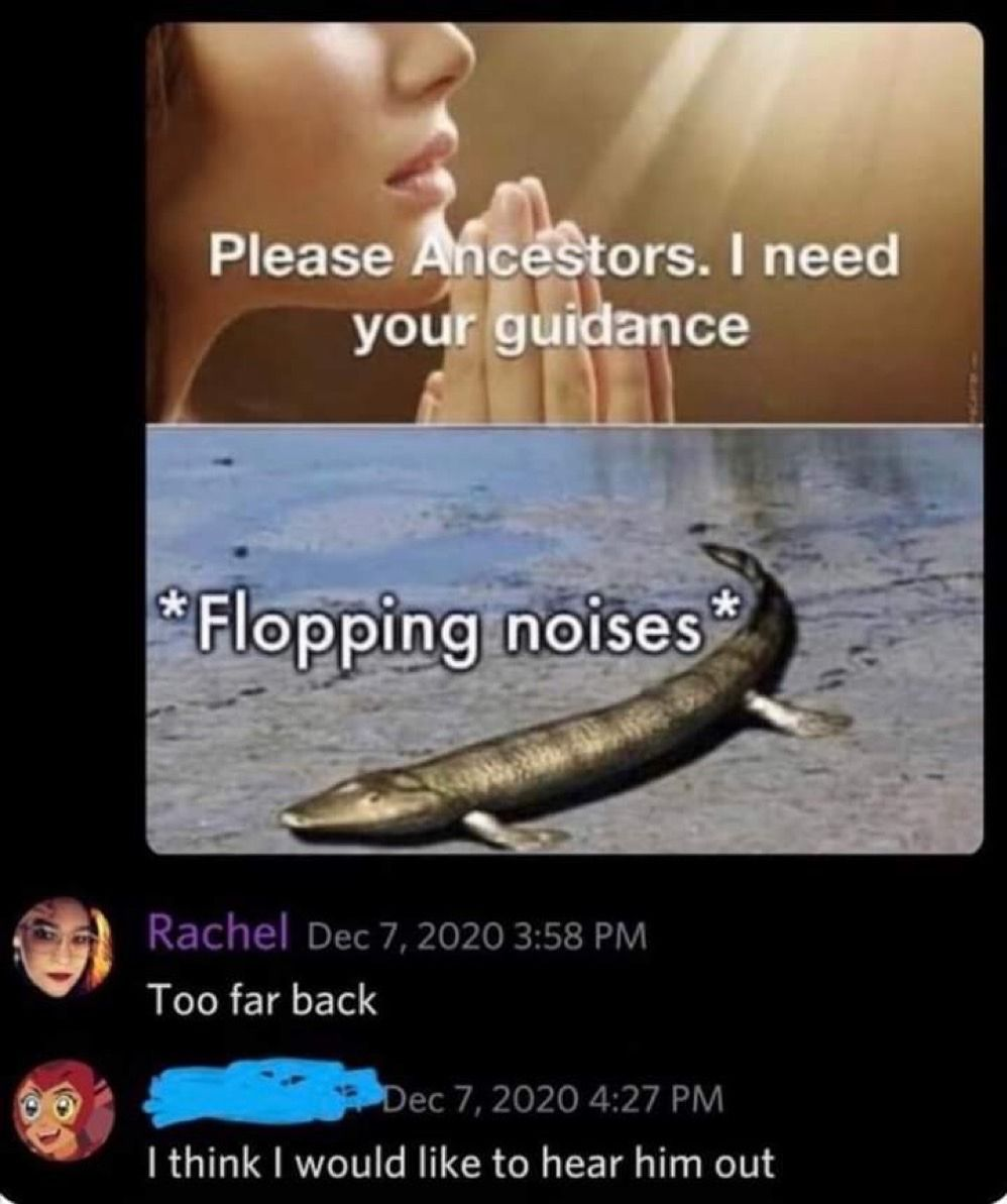 Meme. A thread in four parts.
At the top, someone has posted a typical soft-focus motivational poster type image of a woman's face and her hands clasped in front of her in prayer, with the caption "Please Ancestors, I need your guidance".
Underneath has been added a mock-up of a fish with tiny legs emerging from the primordial swamp, with the caption, "flopping noises".
Under that, user Rachel has commented "Too far back".
And below that, a scribbled-out commenter has added, "I think I would like to hear him out"