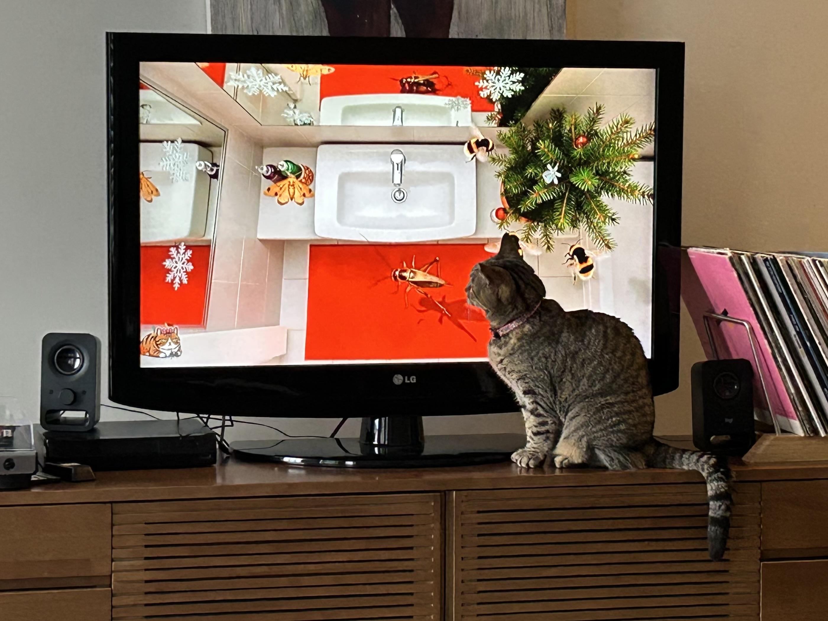 A powder room sink with a massive cricket and several large bees