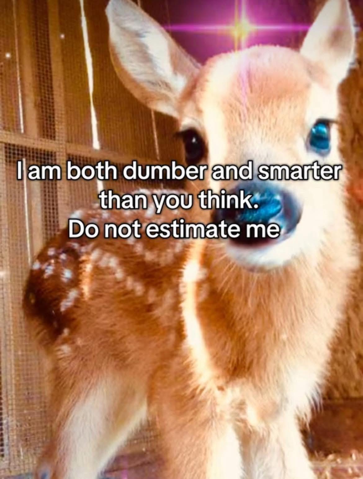 I am both dumber and smarter than you think.
Do not estimate me
