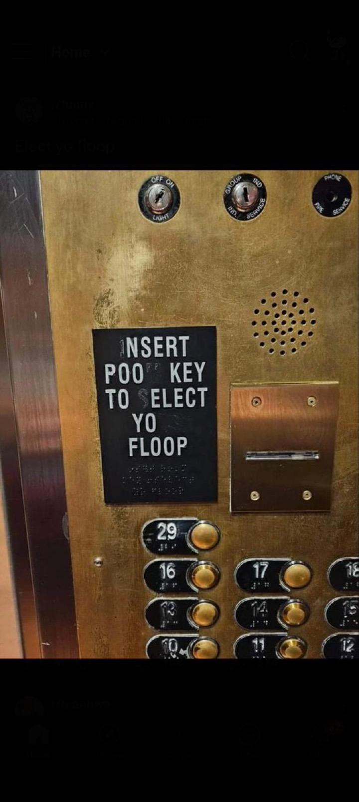 Meme photo. A brass panel in an old-fashioned elevator with the floor-buttons on it. There is a black sign in white raised lettering which once read "Insert room key to select your floor", but bits of the letters have worn away, so it now reads, "nsert poo key to elect yo floop", and even though that is obviously meaningless, it still feels like an absolute mood.