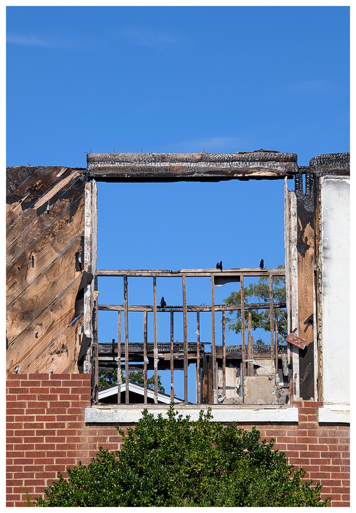 a burned, partially destroyed building with charred wood window frame and a brick base stands under a clear blue sky. the building’s ceilings and roof are missing, revealing beams and open space. three black birds perch on the wooden frame. green shrubbery is visible at the bottom.