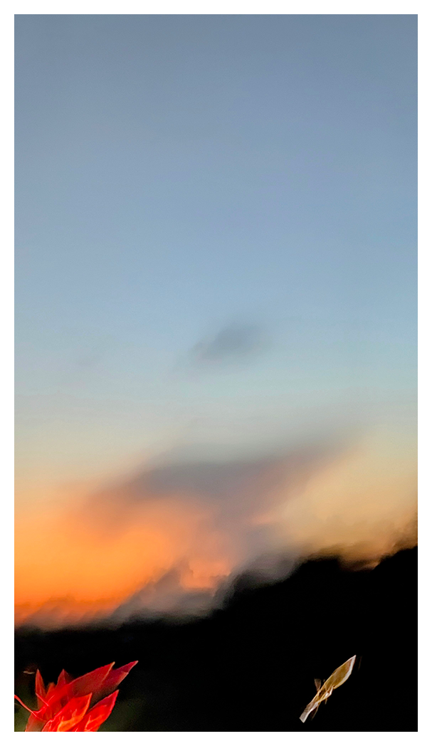 soft-focus abstract of the sun setting behind a treeline in the distance with mystery shapes at bottom