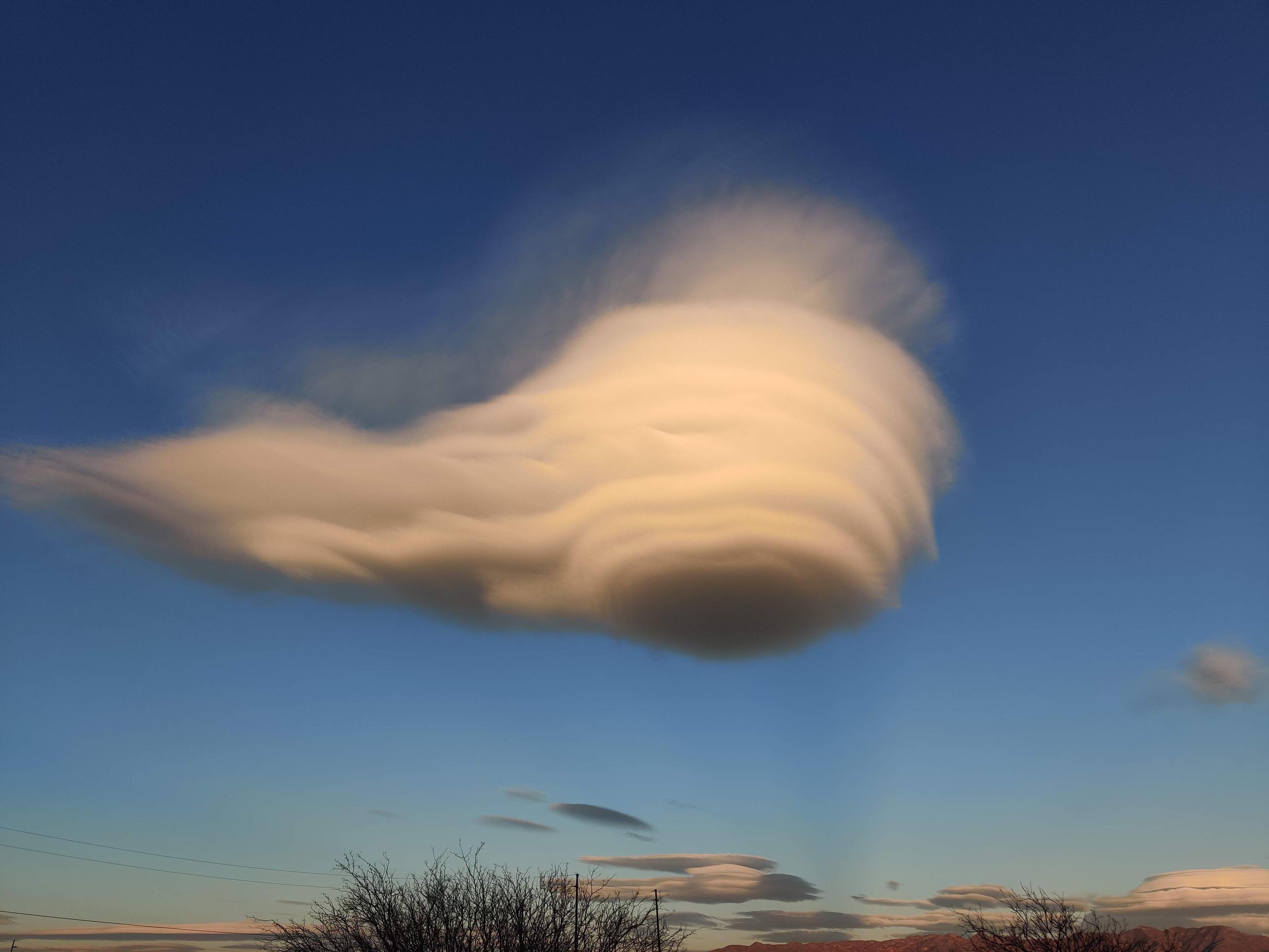 A lenticular cloud floating low over the tops of the mesquite. Sort of resembles a stack of pancakes. Or a weathered sandstone cliff. Looks nothing like a lentil, but what do I know. More (regular) clouds are visible in the background, low to the horizon. And the Mule mountains are just visible in the lower right of the frame.