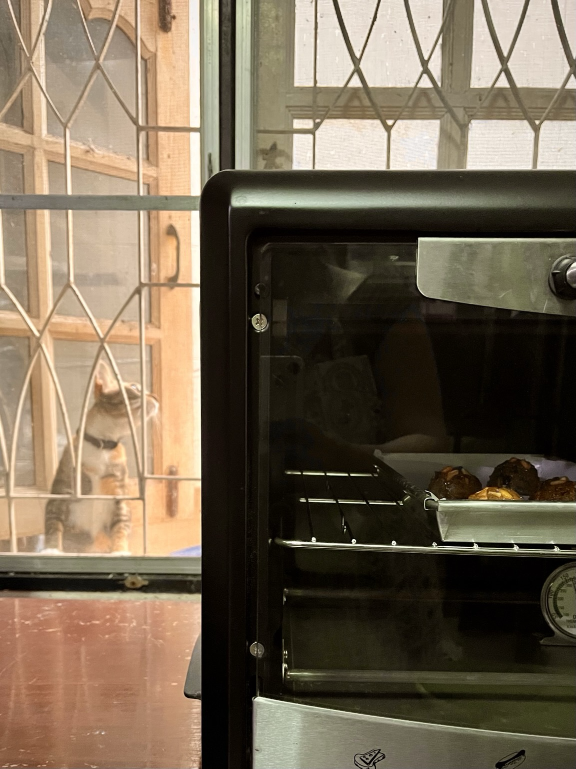 A still life renaissance type photo of a cat sitting outside of a screen window, looking to the side. Within the room we see an oven, cookies baking on a dark wooden table. My reflection can be seen in the glass door of the oven.