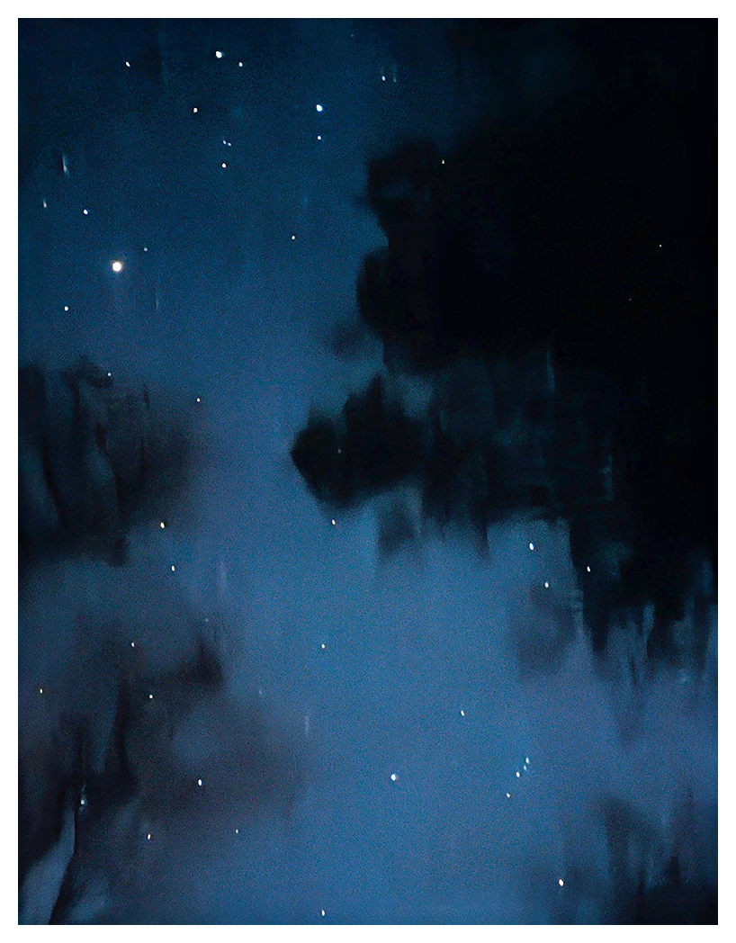 starlit night framed by dark silhouettes of tree branches and leaves. faint stars and one bright celestial object are visible, casting a serene blue glow.