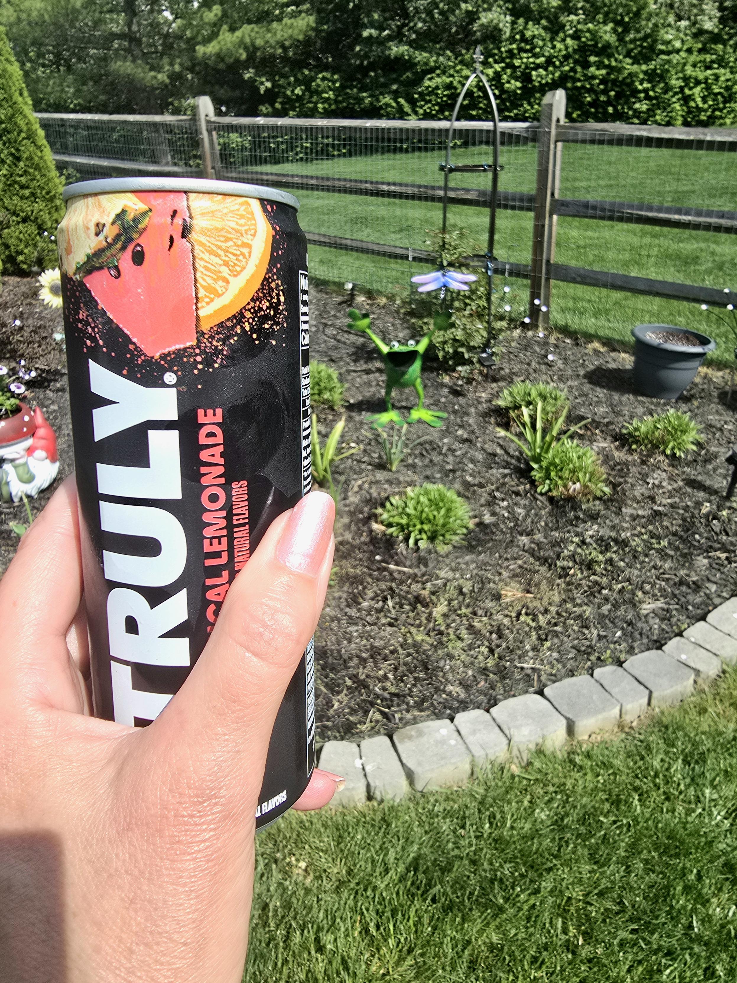 To Eddie.
The garden is beginning, dear.
Hope you and Charlene are well.

Wallflower's hand holding a Truly in a toast form.

There are various plants beginning to grow. Symbolizing much love. My newest garden feature seen : a happy fucking frog 🐸 😄  I love this frog.

Peace my friends. Miss you.
💜👋🌺✌️