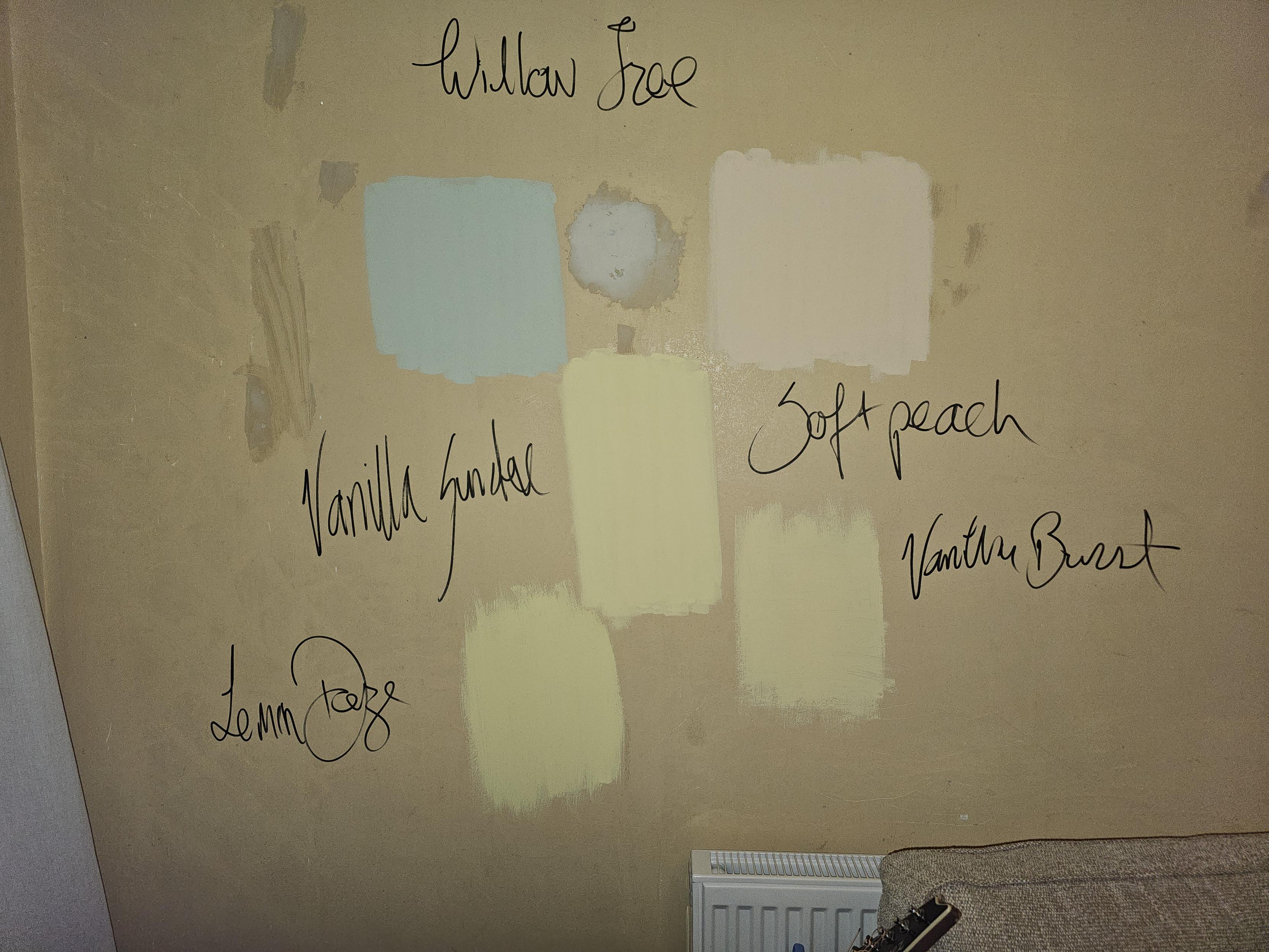 A photo of some colours squares on an interior wall.

The coloured squares are labled willow tree, vanilla sundae, soft peach, vanilla bliss, and lemon daze.