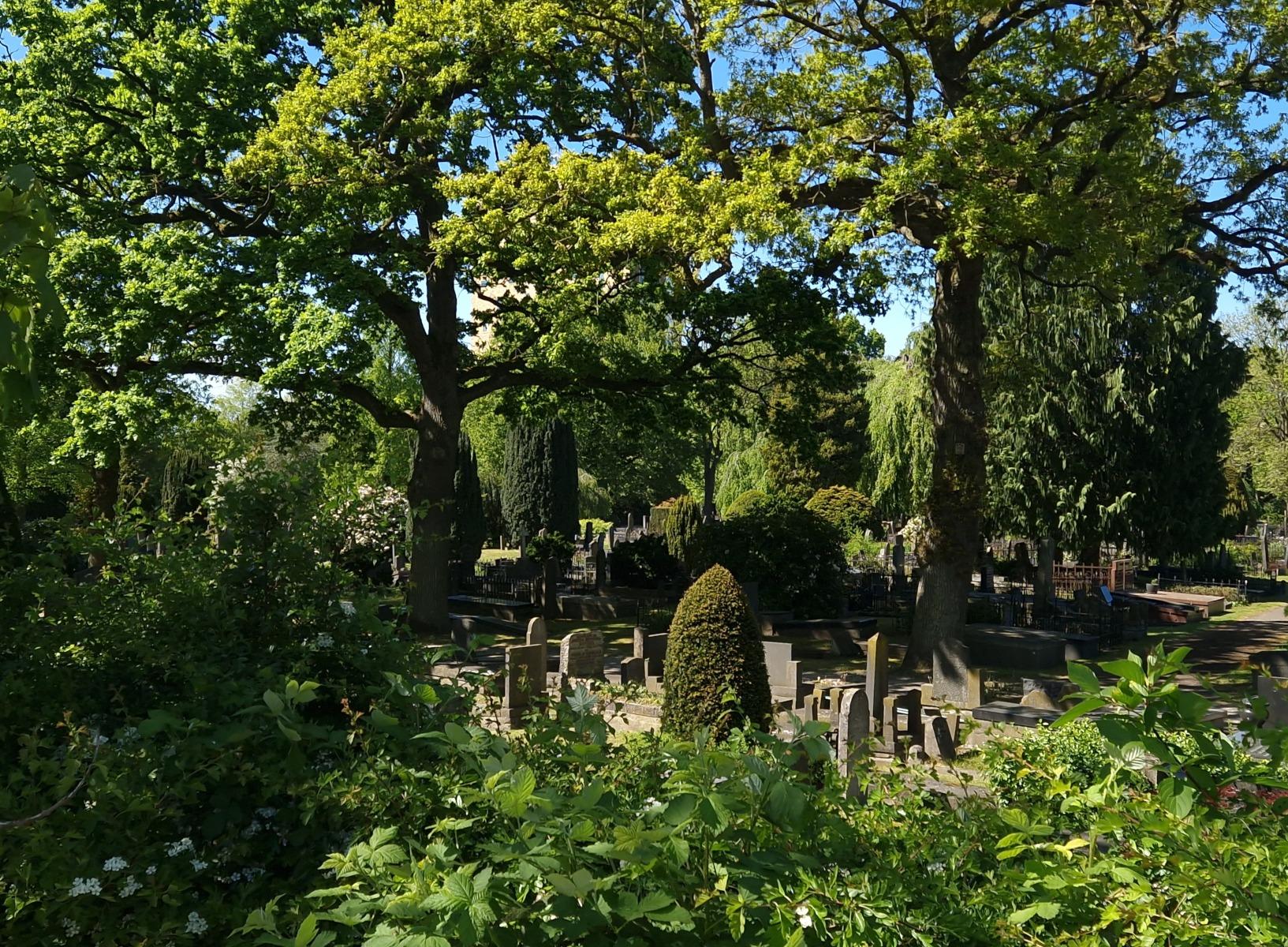 graveyard with lots of green