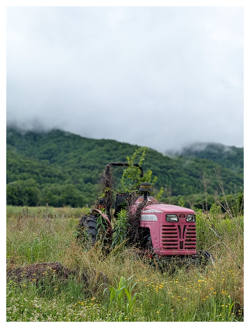 an old, red tractor overgrown with grass and plants sits abandoned in a wild, grassy field. misty green hills and dense trees are visible in the background beneath a cloudy sky.