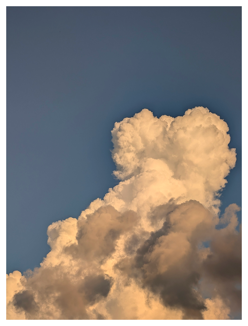 a large, fluffy cumulus cloud rises against a clear blue sky, before sunset. the cloud is brightly lit by sunlight, with golden and soft gray tones highlighting.