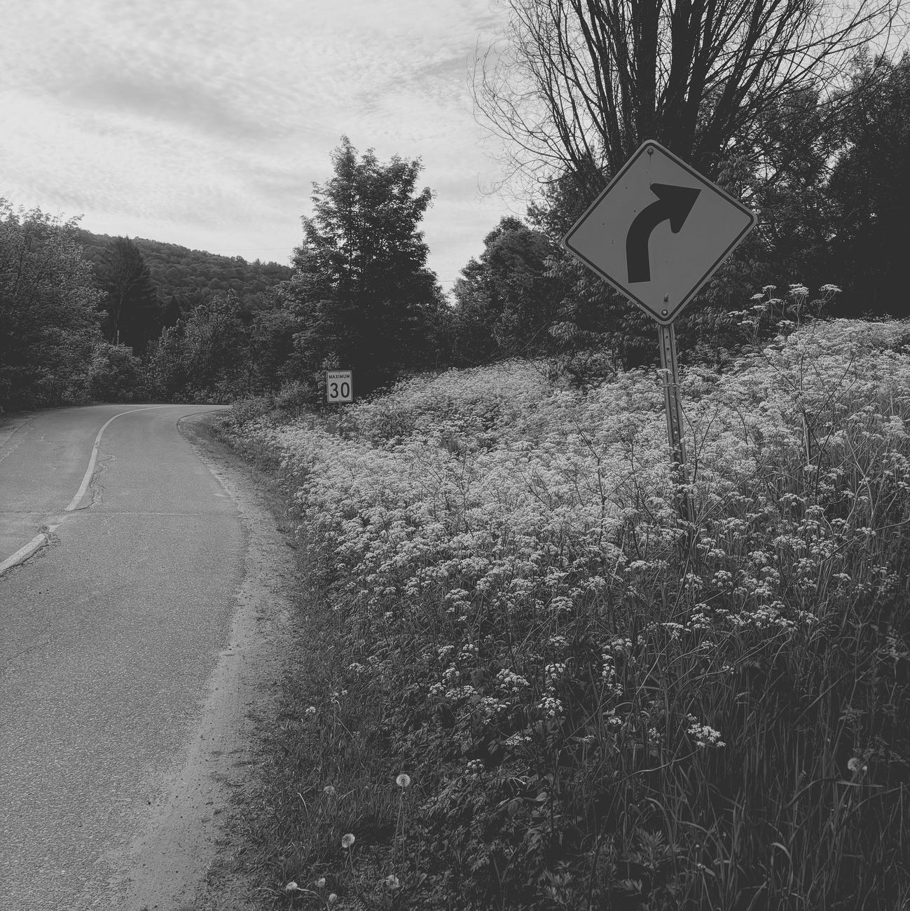 Black and white photograph of a signpost showing a right-turning arrow, planted in the middle of a dense strip of cow parsley with white flowers, running along a lawn with tall trees behind on the right side of the photo. The asphalt road with a curve to the right is visible on the left side of the photo. Another post behind the first one indicates a speed limit of 30 km/h, also planted in the same strip of wildflowers.

Photographie noir et blanc d'un poteau de signalisation montrant une flèche tournant à droite, planté au milieu d'un bande dense de cerfeuil sauvage aux fleurs blanches, longeant une pelouse verte avec de grands arbres verts derrières. La route asphaltée avec une courbe à droite est visible sur le côté gauche de la photo. Un autre poteau derrière indique une limite de vitesse de 30 km/h, planté lui aussi dans la même bande de fleurs sauvages.
