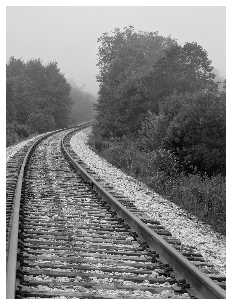 black-and-white photo of railroad tracks curving right with gravel and dense trees on both sides. the background fades into fog, obscuring distant trees.