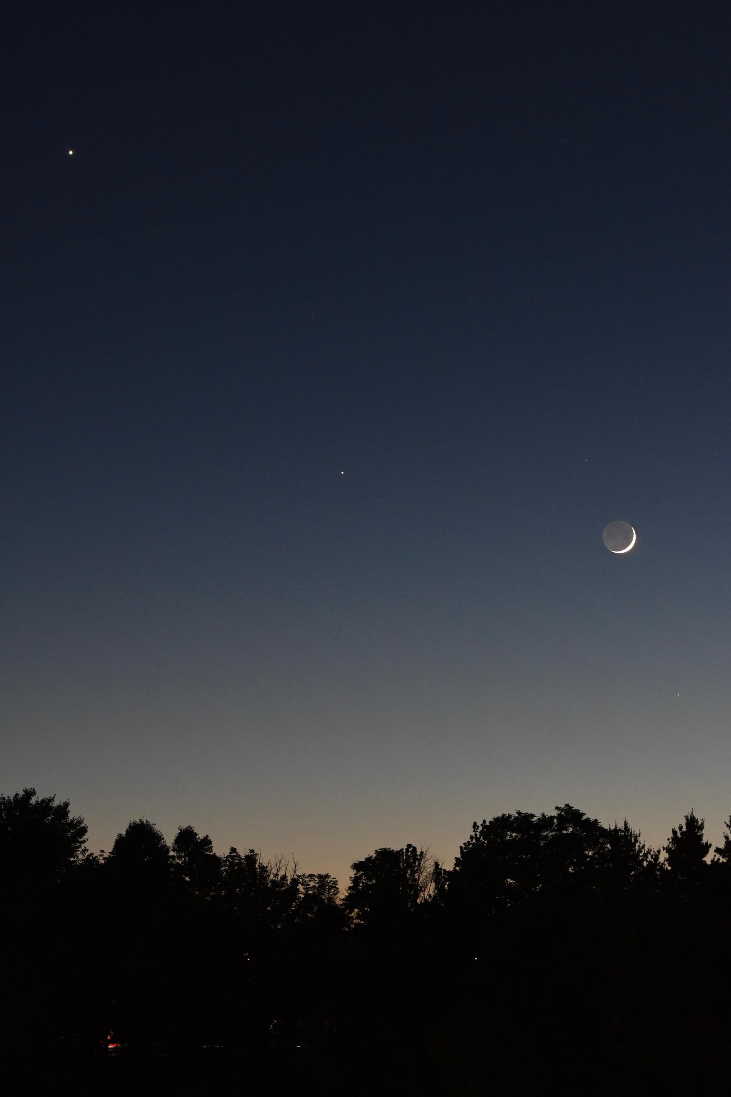 A sky going from blue-black at top to light orange at the horizon. Venus, brightly in the upper left, Jupiter to its lower right, then the moon and then Mercury, faintly, lower right. Silhouetted against the horizon are trees