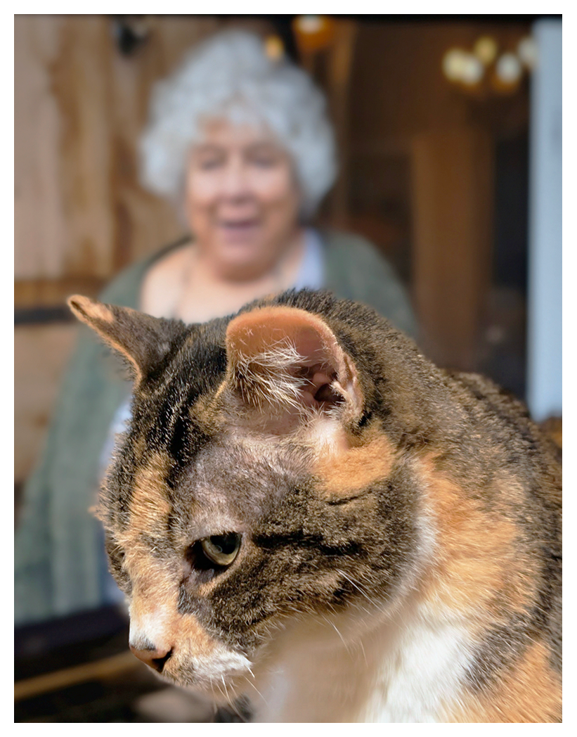 a side-view close-up of a calico cat  with white markings and green eyes in sharp focus looking ahead and appearing perturbed.  in the blurred background, an older woman with curly white hair is smiling and wearing a green top, standing indoors. A close-up of a calico cat in sharp focus, looking left. In the blurred background, an older woman with curly white hair is smiling and wearing a green top, standing indoors. The actress Miriam Margolyes.