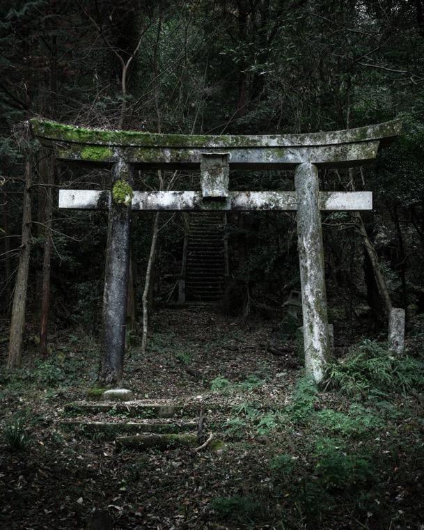 trad. japanese gate in forest, covered in moss, a few steps leading up to it — source unknown
