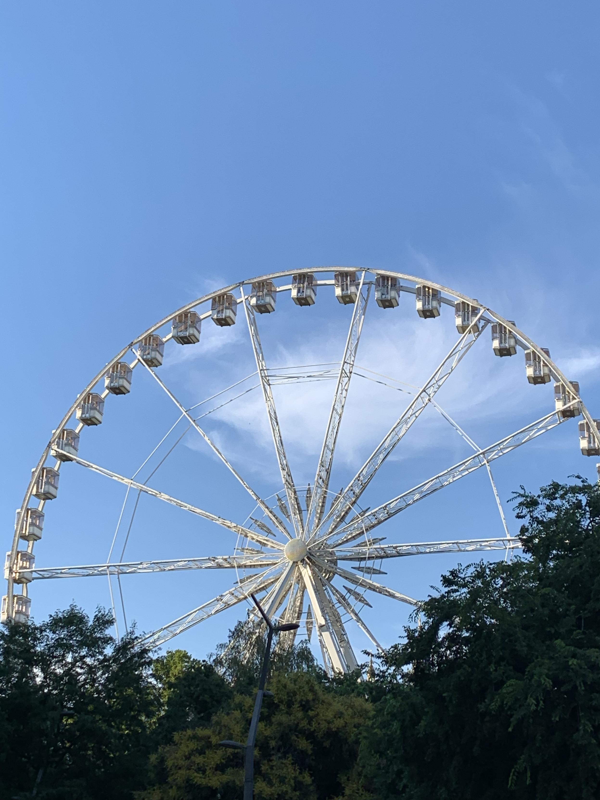 a big, white, ferris wheel in budapest as seen above the trees and against the sky