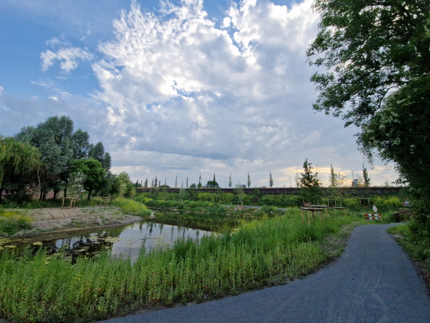 chill place with lots of nature, near the "rivierenbuurt" in groningen. the sky is blue but there's some clouds building, some of which may contain some aggression