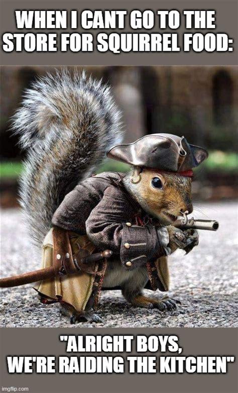Picture a squirrel dressed in a pirate style leather coat with wide leather cuffs & a black tricorn hat. They are carrying a pistol & have a sheathed cutlass at their belt. 
They are crouched & appear to be sneaking off on a raid.

The caption reads: “WHEN U CAN’T GOTO THE STORE FOR SQUIRREL FOOD:
"ALRIGHT BOYS, WE'RE RAIDING THE KITCHEN!””

Credit: Imgflip.com