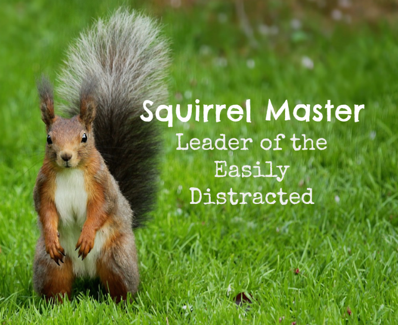 Picture a red squirrel standing upright facing us.

The  caption reads :- “Squirrel Master
Leader of the Easily Distracted”

Credit: donated by a marvellous Peep!