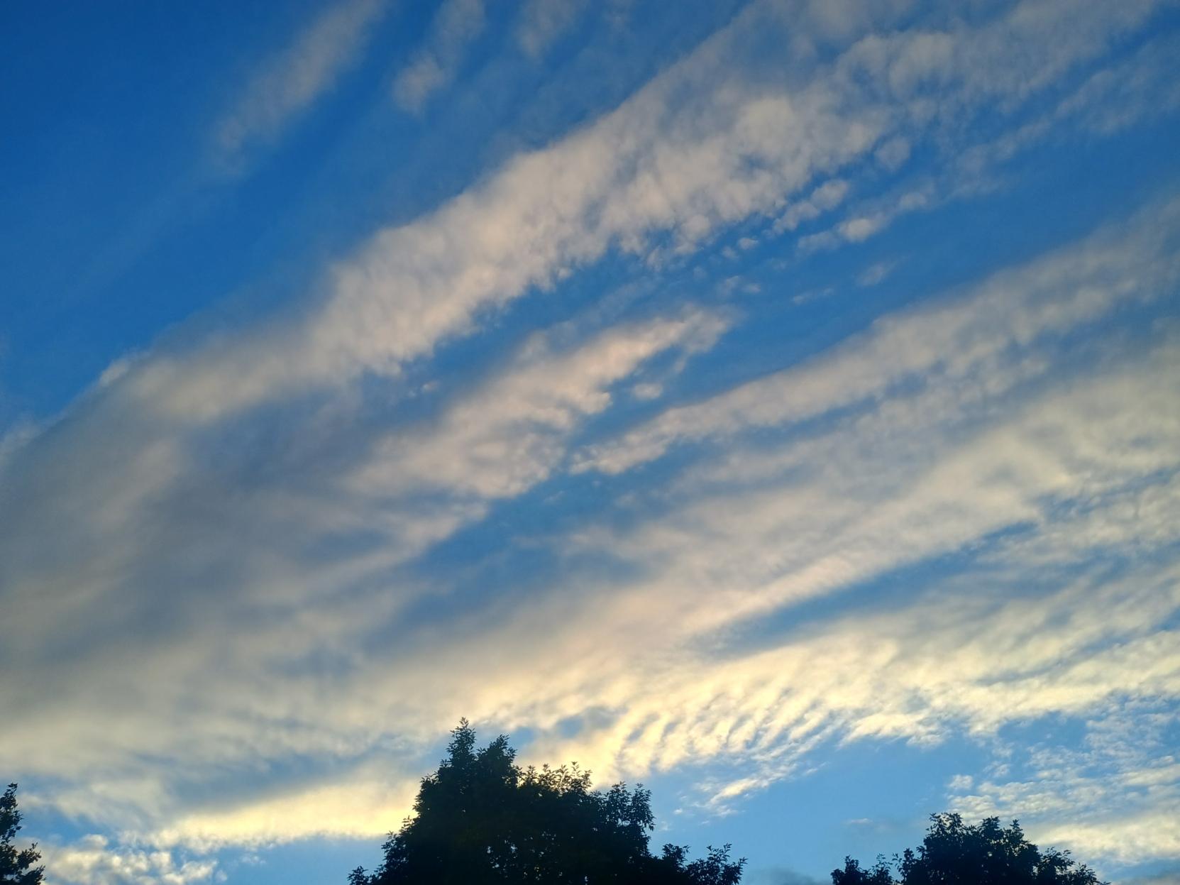 Setting sun over the incoming clouds.