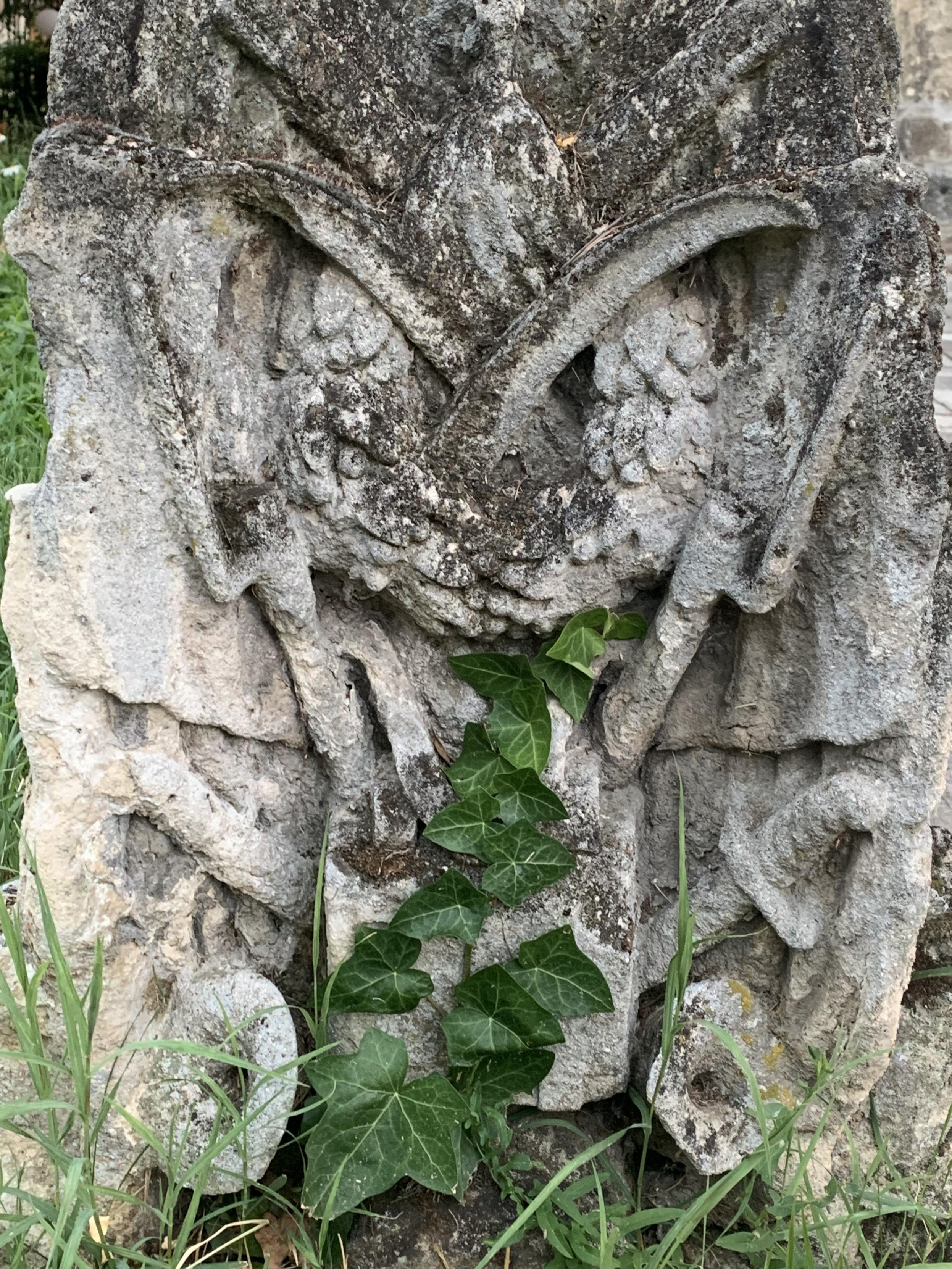 cut stone with ivy