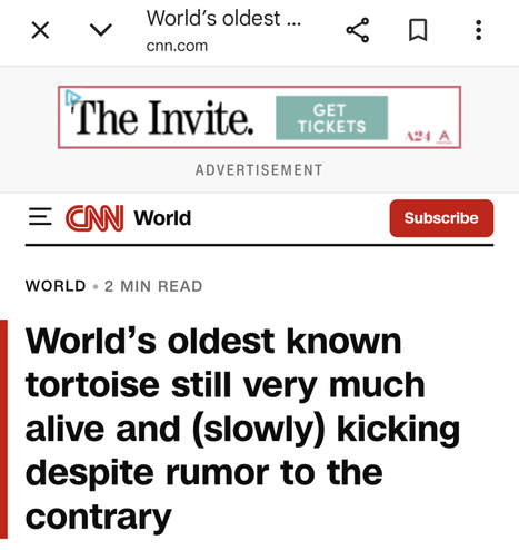 Posted media