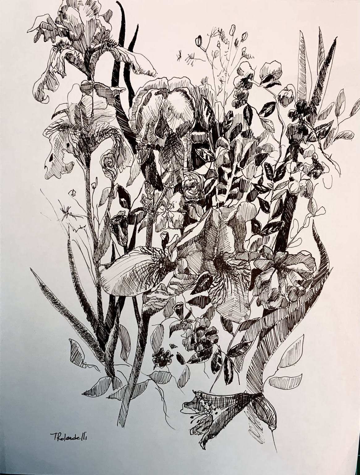 An ink sketch of a very crowded garden of many types of flowers.