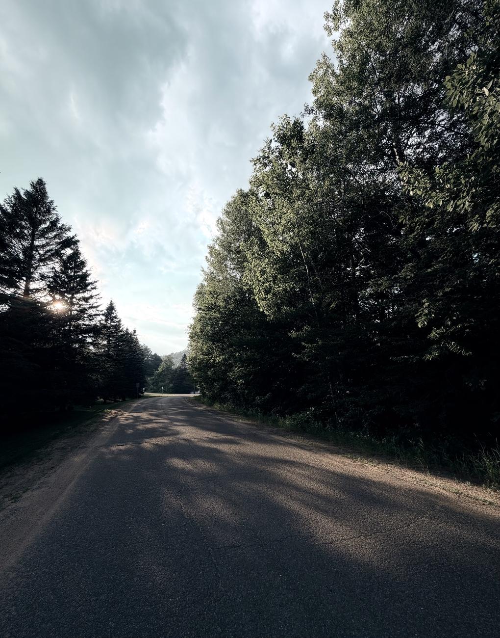 Photograph of a country road, paved with a few cracks, turning slightly to the right and lined with tall trees on either side. The sun is low, behind the trees on the left, and their shadow is cast on the asphalt. The sky is cloudy, visible between the trees. A cool, bluish filter was applied to the photo taken with an iPhone.

Photographie d’une route de campagne, asphaltée avec quelques fissures, tournant légèrement vers la droite et bordée de grands arbres de chaque côté. Le soleil est bas, derrière les arbres à gauche, et leur ombre est projetée sur l’asphalte. Le ciel est nuageux, visible entre les arbres. Un filtre froid et bleuté a été appliqué à la photo prise avec un iPhone.