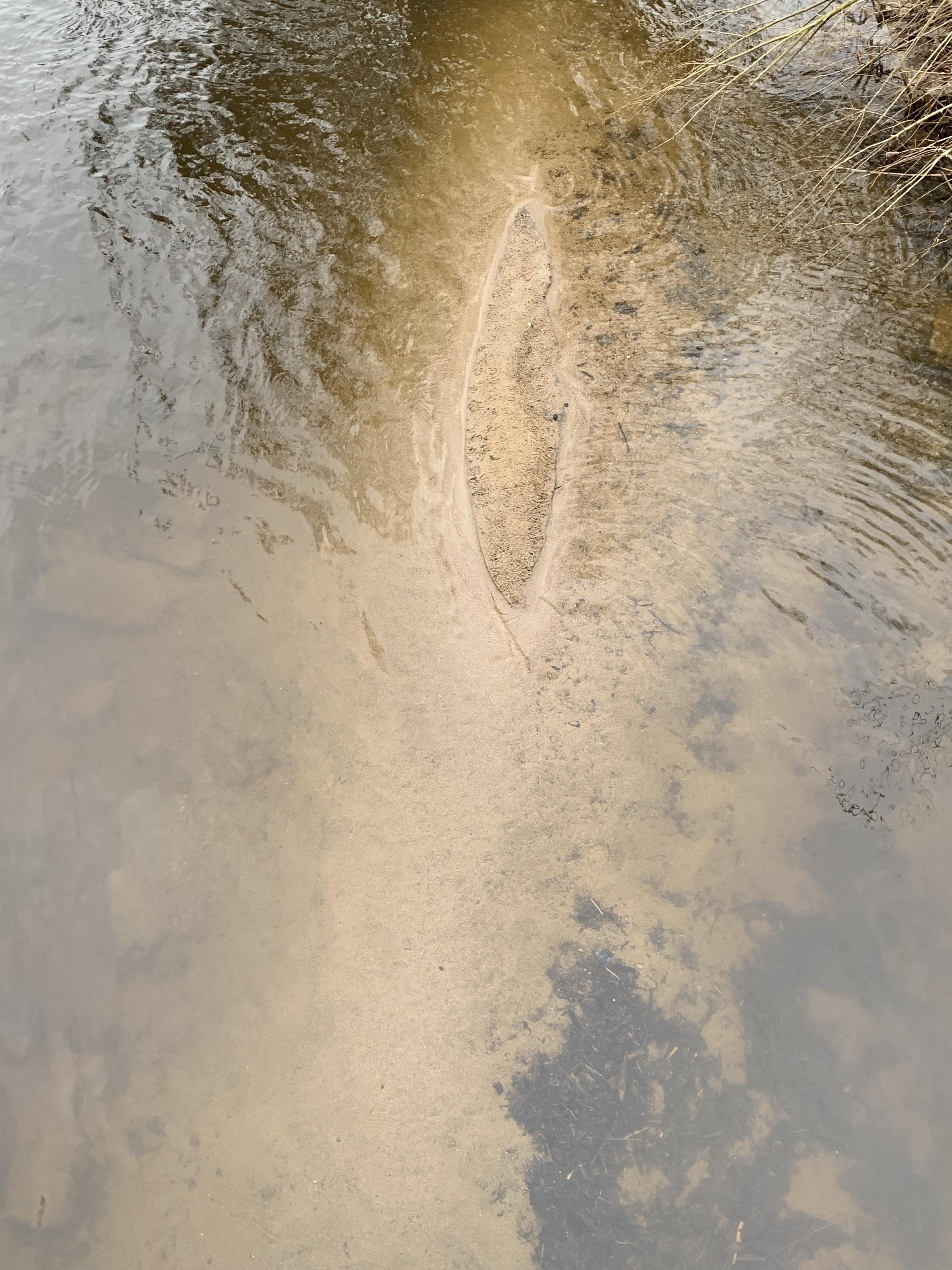 a yoni-shaped sandbar risen slightly above a submerged sandy embankment in a shallow river