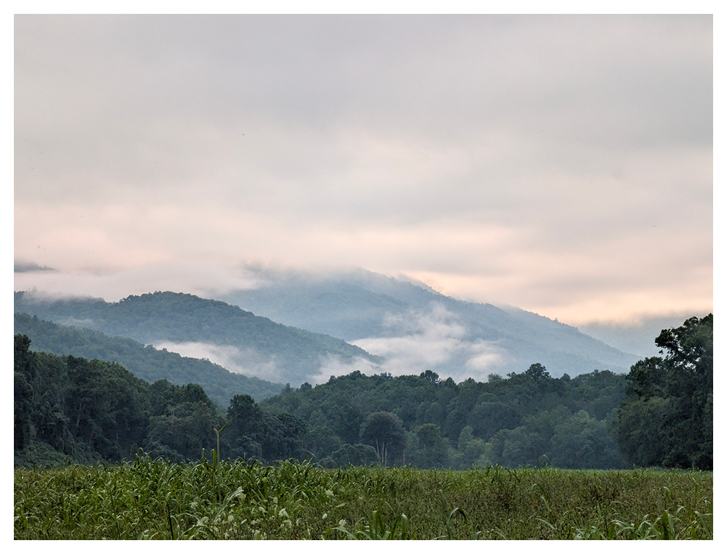 rolling green hills and distant mountains are partly shrouded in mist under a cloudy sky. dense trees line the foothills, while tall grass and crops fill the foreground.