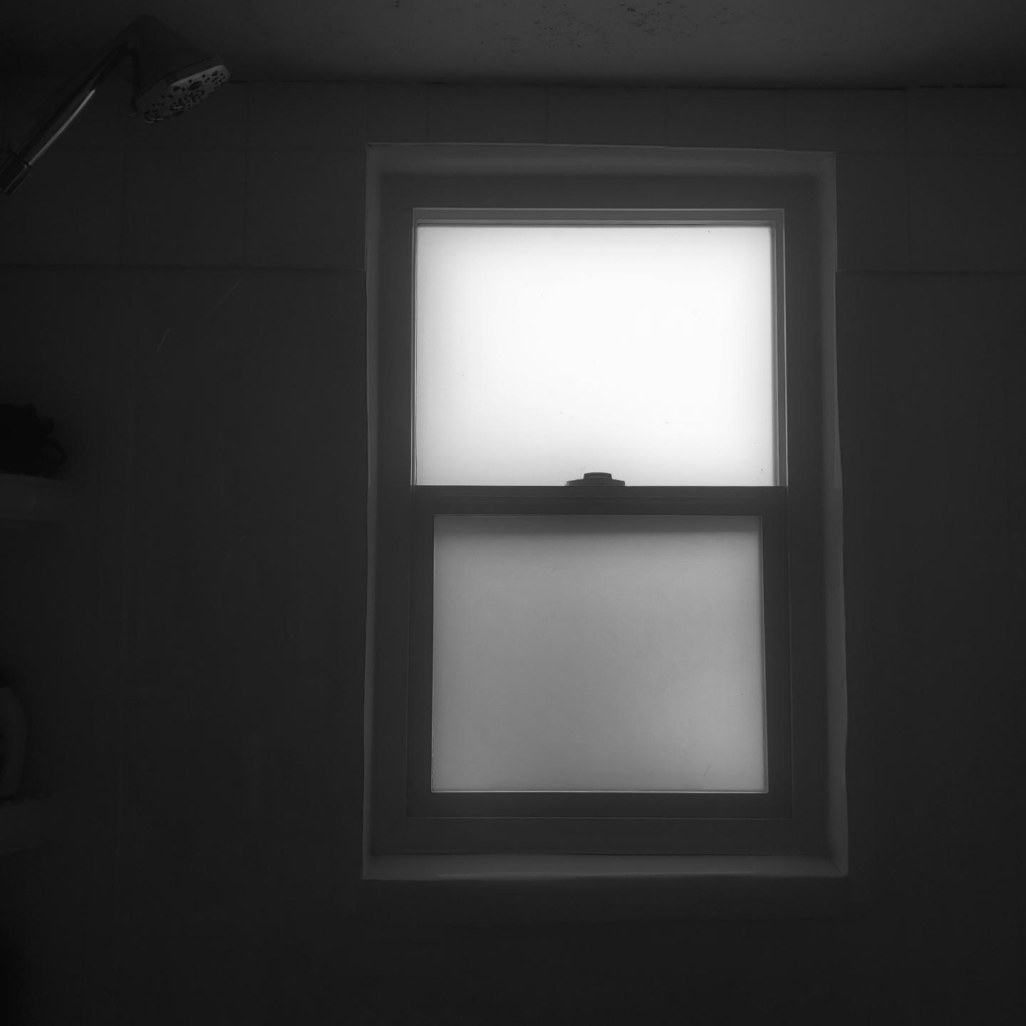 A frosted double-paned window with daylight emanating from the upper pane and a showerhead visible in the upper left corner of our bathroom.