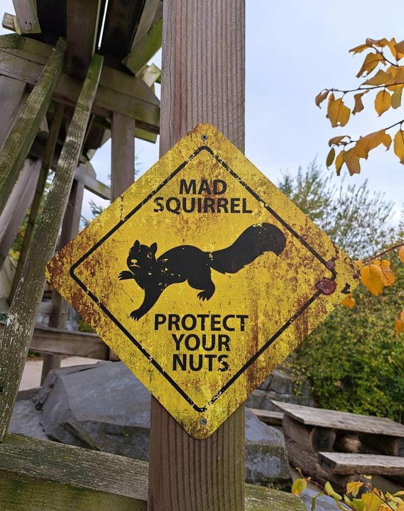 Picture a yellow diamond warning sign nailed to a wooden post. In the centre of the sign, in black, is a picture of a frisky looking squirrel. Above the squirrel the words “MAD SQUIRREL” are written in a bold black font. 
Below the words “PROTECT YOUR NUTS” are written in the same font & colour. 

CREDIT:  Squirrel Fan donation.
