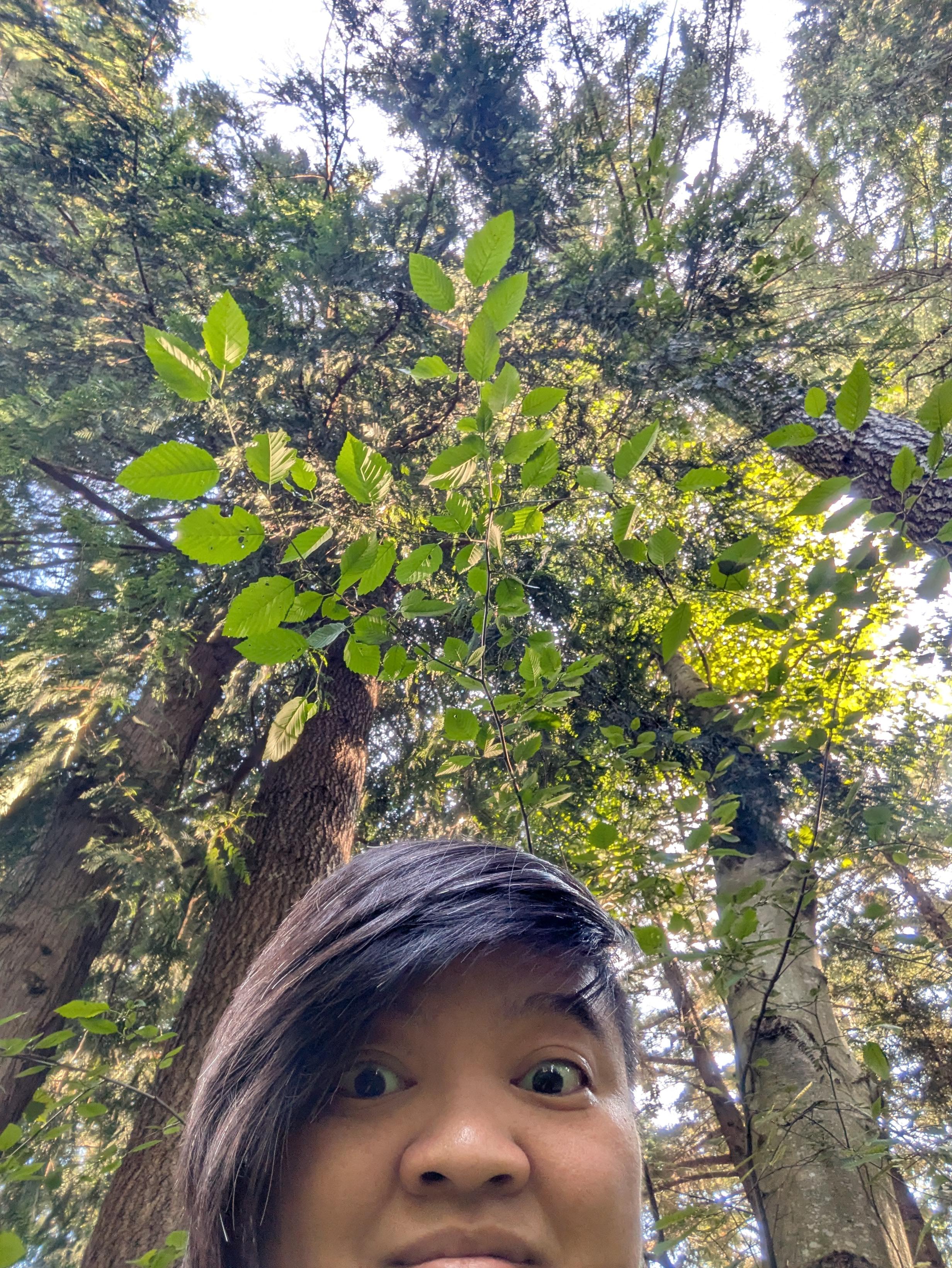 Phone is looking up, and you can see most of May's bewildered/awed face at the very very tall trees!!!