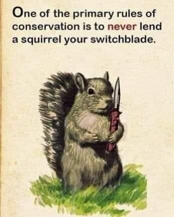 Picture a drawing of a grey squirrel holding a switchblade in an upright position .
The caption reads:
“One of the primary rules of conservation is to never lend a squirrel your switchblade.”

Credit: Donated by s superb Peep!