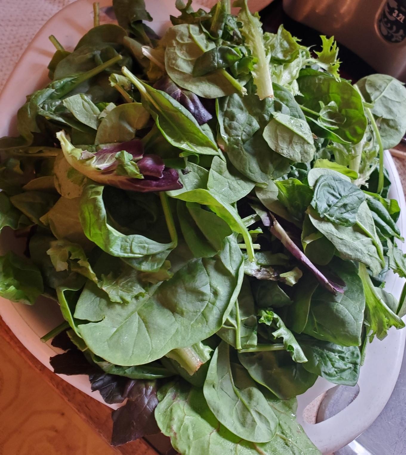 Close-up overhead view of a large white colander that is overflowing with a freshly harvested and washed mixed salad greens.