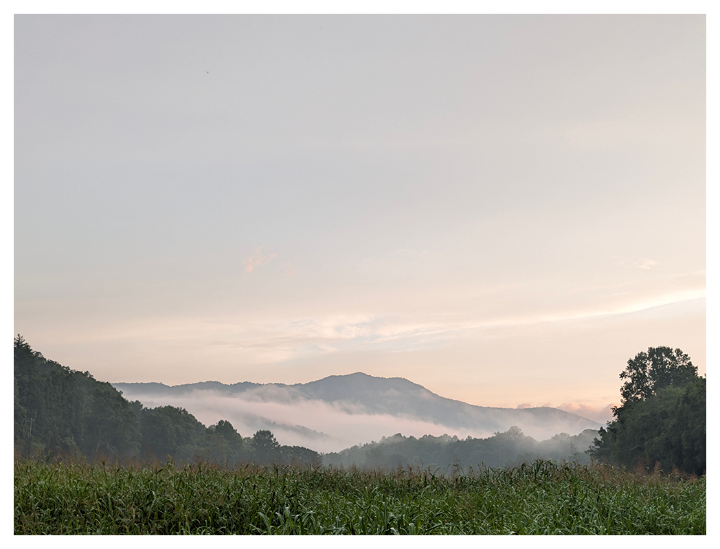 A misty morning landscape with a distant mountain, fog nestled among trees, and a field of corn in the foreground under a pastel sky.
