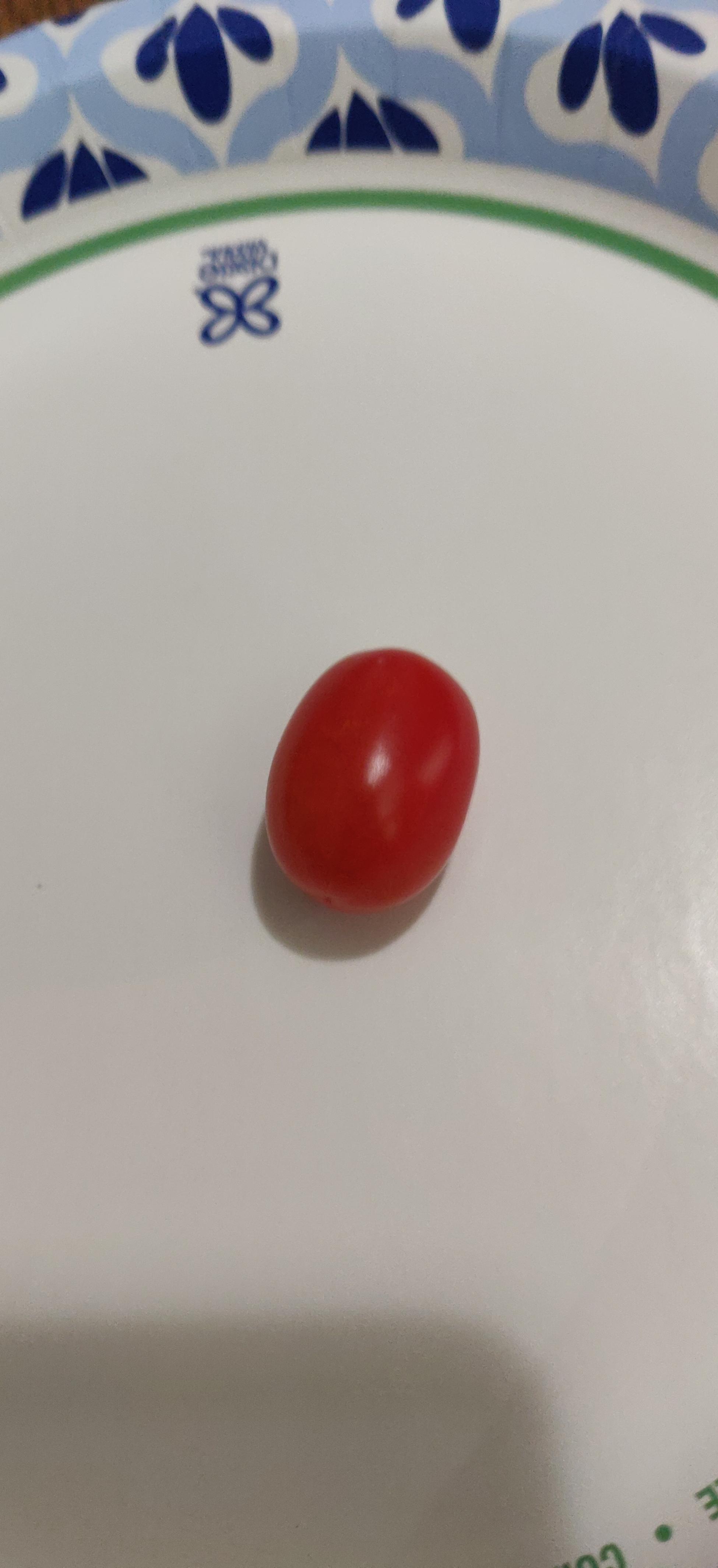 A red Grape tomato on a paper plate.