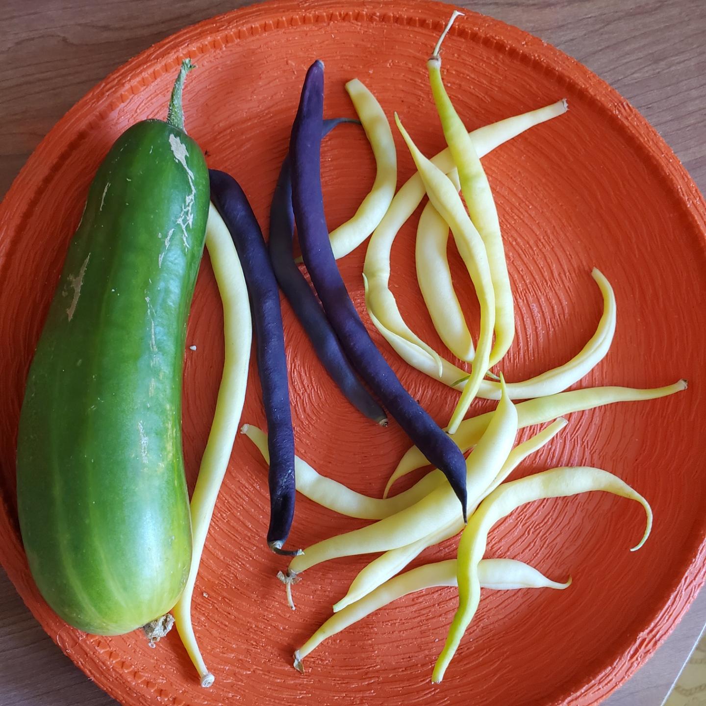 A green cucumber and a pile of yellow and purple string beans are arranged on an orange textured platter.