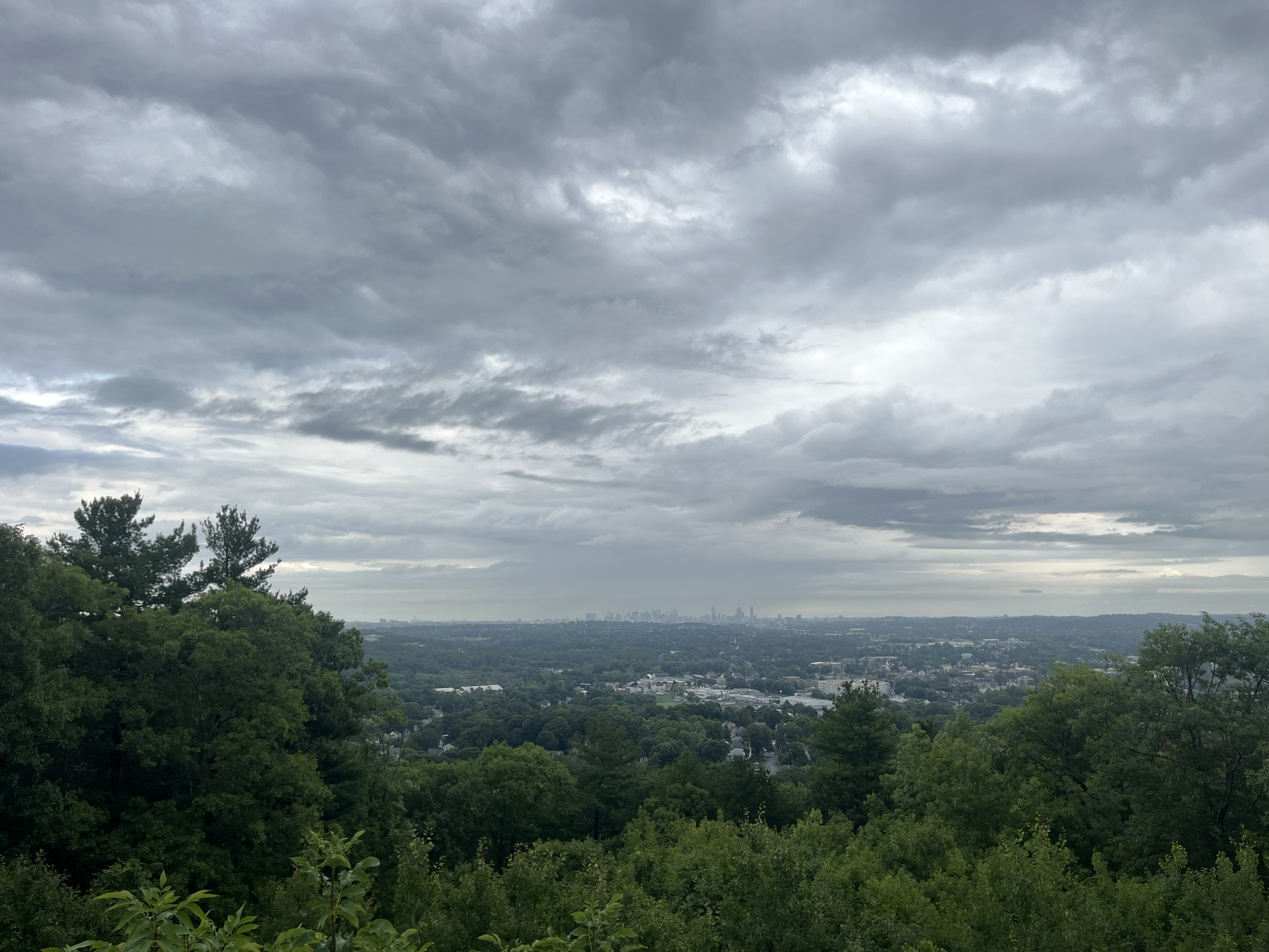 A dramatic cloudy sky over a distant view of a city on the horizon. Trees and shrubs are in the foreground