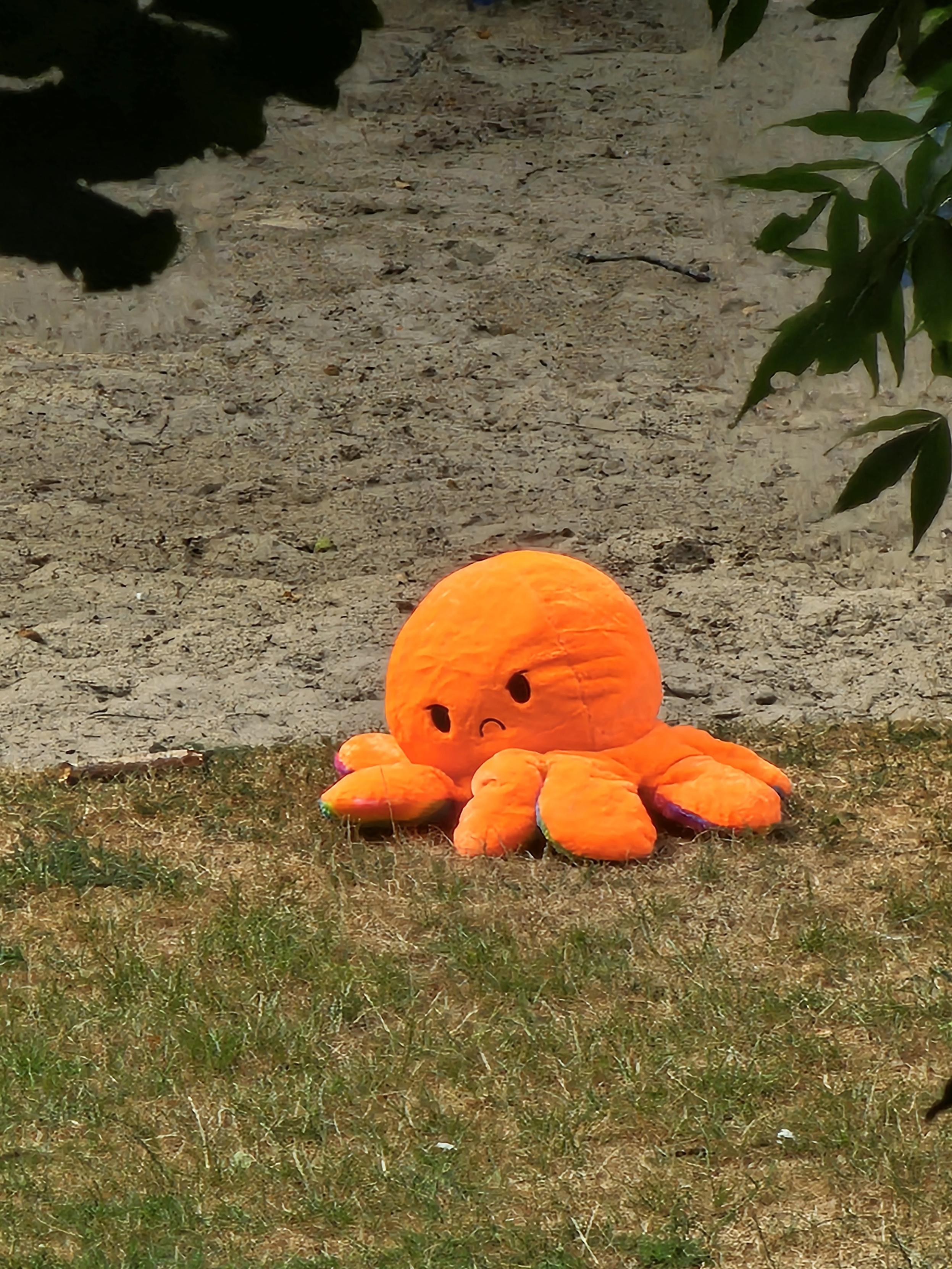 A zoomed in photo of a large and brightly orange coloured octopus sat on faded grass in the children's play area. It has a chonky head, stubby legs, and a sad little face.