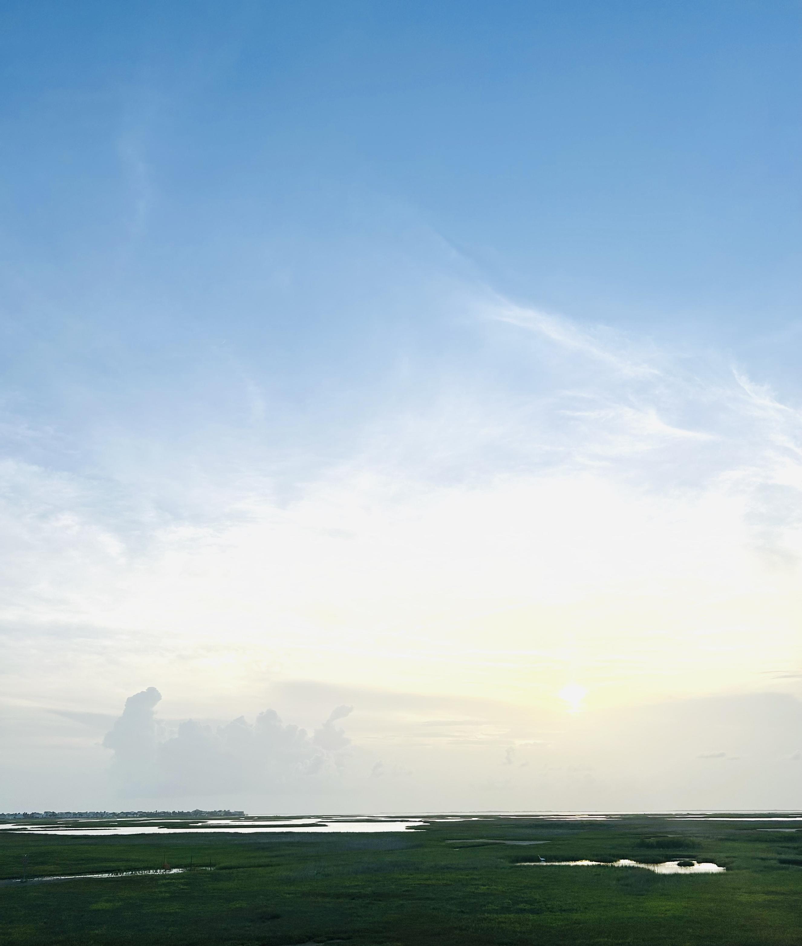 An open blue sky, with marshy land below