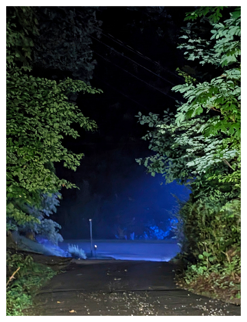 A dark road bordered by dense green foliage leads to a blue-lit foggy area in the distance. The scene feels mysterious, with the blue light illuminating trees and power lines overhead, while most of the foreground remains in shadow.