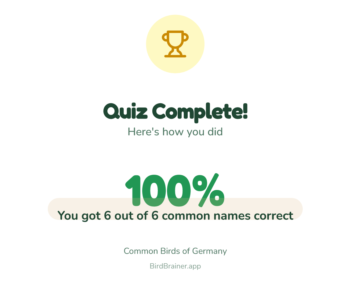 Mostly text
Picture of a small trophy
Quiz Complete!
Here's how you did
100%
You got 6 out of 6 common names correct
Common Birds of Germany
BirdBrainer.app
